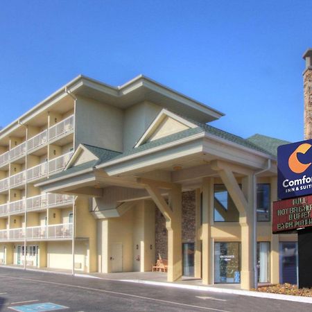 Comfort Inn & Suites At Dollywood Lane Pigeon Forge Eksteriør bilde